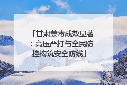 甘肃禁毒成效显著：高压严打与全民防控构筑安全防线