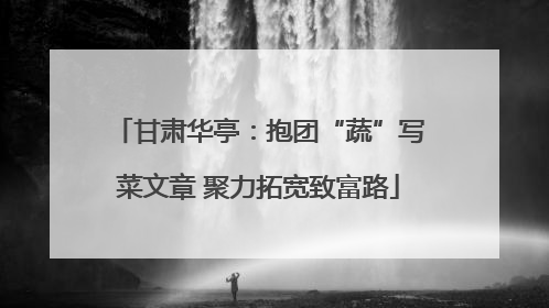 甘肃华亭：抱团“蔬”写菜文章 聚力拓宽致富路