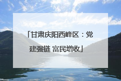甘肃庆阳西峰区：党建强链 富民增收