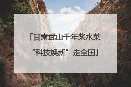 甘肃武山千年浆水菜“科技焕新”走全国