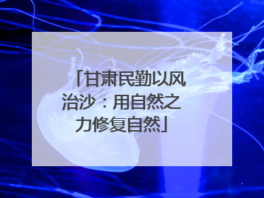 甘肃民勤以风治沙：用自然之力修复自然