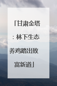 甘肃金塔：林下生态养鸡踏出致富新道