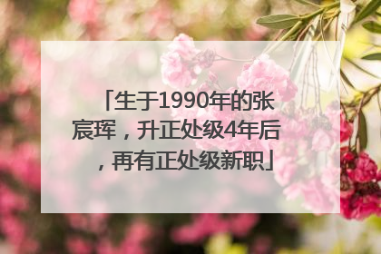生于1990年的张宸珲，升正处级4年后，再有正处级新职