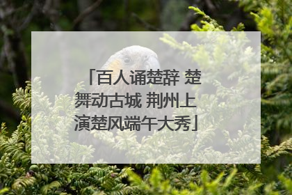 百人诵楚辞 楚舞动古城 荆州上演楚风端午大秀