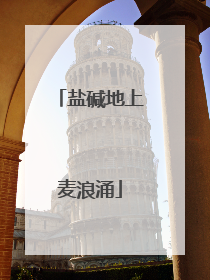 盐碱地上麦浪涌