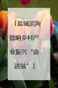 盐城滨海擂响乡村产业振兴“奋进鼓”