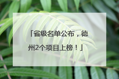 省级名单公布，德州2个项目上榜！
