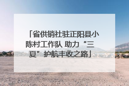 省供销社驻正阳县小陈村工作队 助力“三夏”护航丰收之路