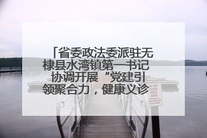 省委政法委派驻无棣县水湾镇第一书记 协调开展“党建引领聚合力，健康义诊惠乡亲”义诊活动