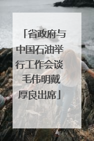 省政府与中国石油举行工作会谈 毛伟明戴厚良出席