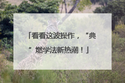 看看这波操作，“典”燃学法新热潮！