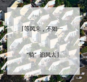 等风来，不如一“骑”追风去
