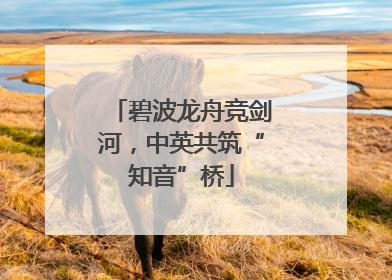 碧波龙舟竞剑河，中英共筑“知音”桥