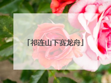 祁连山下赛龙舟
