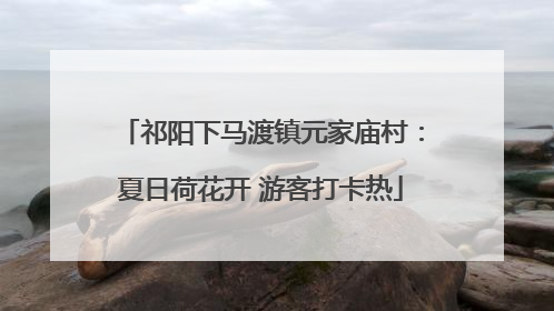 祁阳下马渡镇元家庙村：夏日荷花开 游客打卡热