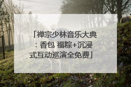 禅宗少林音乐大典：香包 福粽+沉浸式互动巡演全免费