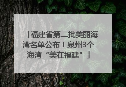 福建省第二批美丽海湾名单公布！泉州3个海湾“美在福建”