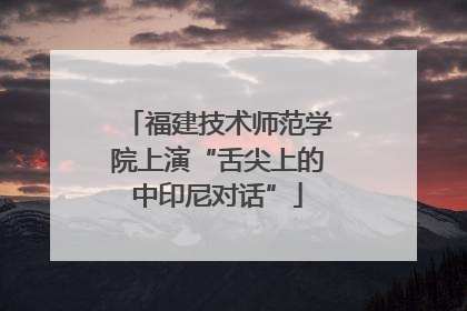 福建技术师范学院上演“舌尖上的中印尼对话”
