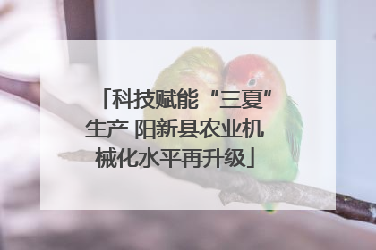 科技赋能“三夏”生产 阳新县农业机械化水平再升级