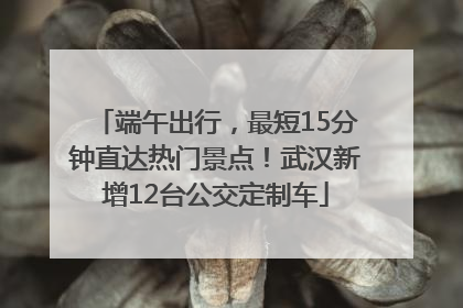 端午出行，最短15分钟直达热门景点！武汉新增12台公交定制车