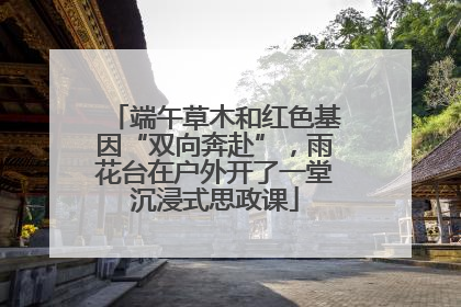 端午草木和红色基因“双向奔赴”，雨花台在户外开了一堂沉浸式思政课