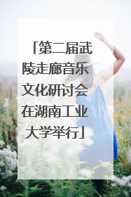 第二届武陵走廊音乐文化研讨会在湖南工业大学举行