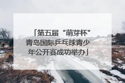 第五届“萌芽杯”青岛国际乒乓球青少年公开赛成功举办