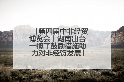 第四届中非经贸博览会丨湖南出台一揽子鼓励措施助力对非经贸发展