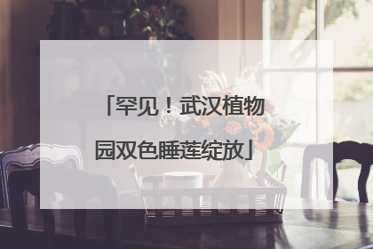 罕见！武汉植物园双色睡莲绽放