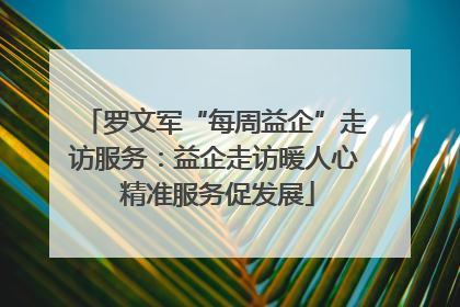 罗文军“每周益企”走访服务：益企走访暖人心 精准服务促发展