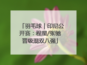 羽毛球｜印尼公开赛：程星/张驰晋级混双八强