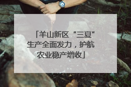 羊山新区“三夏”生产全面发力，护航农业稳产增收