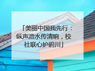 美丽中国我先行：纵声澧水传清响，校社联心护碧川