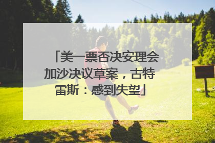 美一票否决安理会加沙决议草案，古特雷斯：感到失望