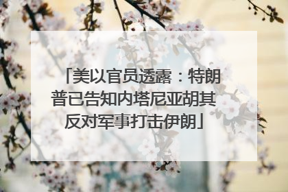 美以官员透露：特朗普已告知内塔尼亚胡其反对军事打击伊朗