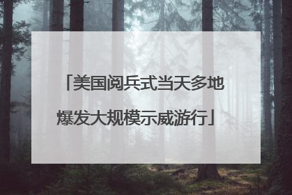 美国阅兵式当天多地爆发大规模示威游行