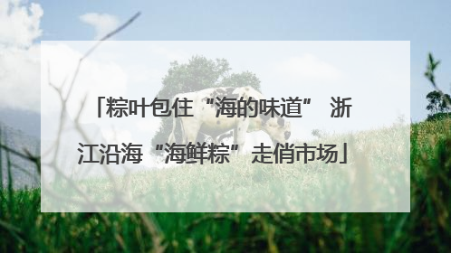粽叶包住“海的味道” 浙江沿海“海鲜粽”走俏市场