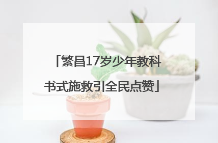 繁昌17岁少年教科书式施救引全民点赞