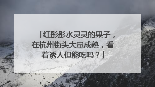 红彤彤水灵灵的果子，在杭州街头大量成熟，看着诱人但能吃吗？