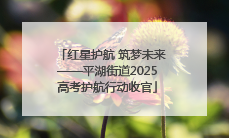 红星护航 筑梦未来——平湖街道2025高考护航行动收官