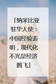 纳米比亚驻华大使：中国经验表明，现代化不光是经济腾飞