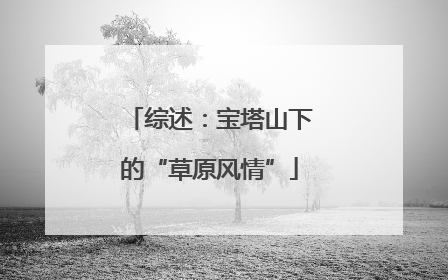 综述：宝塔山下的“草原风情”