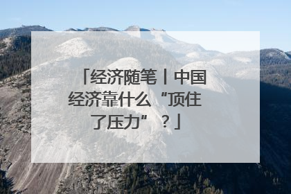 经济随笔丨中国经济靠什么“顶住了压力”？