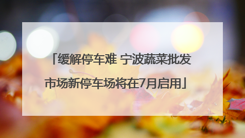 缓解停车难 宁波蔬菜批发市场新停车场将在7月启用