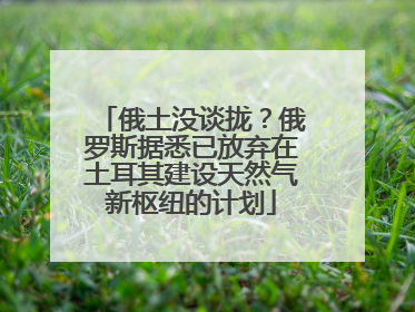 俄土没谈拢？俄罗斯据悉已放弃在土耳其建设天然气新枢纽的计划