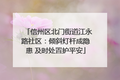 信州区北门街道江永路社区：倾斜灯杆成隐患 及时处置护平安