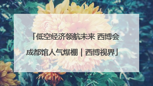 低空经济领航未来 西博会成都馆人气爆棚｜西博视界