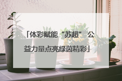 体彩赋能“苏超” 公益力量点亮绿茵精彩