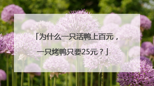 为什么一只活鸭上百元，一只烤鸭只要25元？