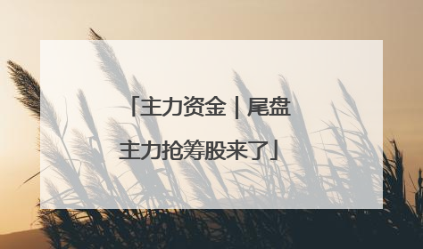 主力资金｜尾盘主力抢筹股来了